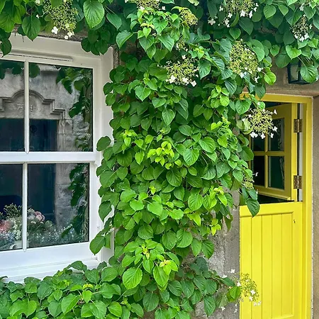 Primrose Vakantiehuis