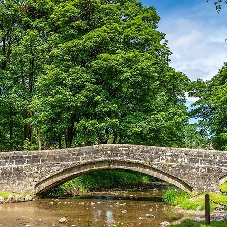 Primrose 그래싱턴